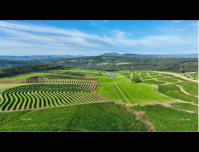 LAND FOR SALE IN MOUNT VERDE